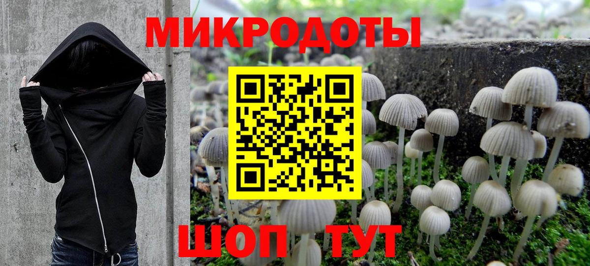Псилоцибиновые грибы MAGIC MUSHROOMS  Вход с VPN  Братск 